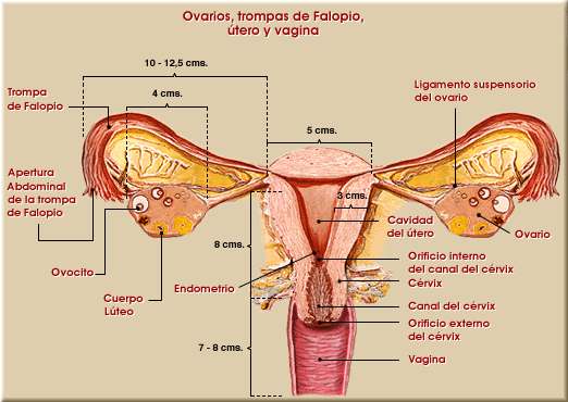 Si es posible arreglar los puntos negros sobre la persona